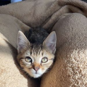 Meet your Posher, Laurence